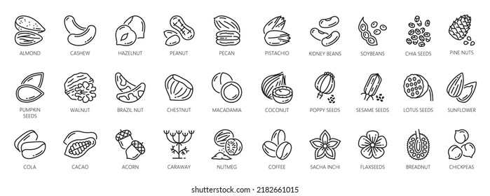 Iconos de nueces de cacahuete, nuez y almendros, semillas y judías vectoriales, cacao y nueces de pistacho dibujan símbolos con calabaza y semillas de girasol, judías de café y garbanzos con castaño
