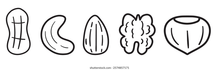 Nuts. Outline isolated icons. Almond, hazelnut, peanut, walnut, cashew. Hand drawn design. Illustrations on white background.