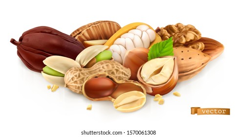 Nuts. Peanut, hazelnut, pistachios, almond, cocoa bean. 3d realistic vector illustration