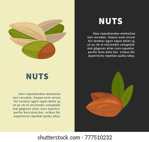 Afiches verticales promocionales de nueces con almendras y pistachos