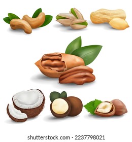 Nuts realistas iconos establecidos. La mezcla se compone de nueces de cajú, pistachos, cacahuetes, avellanas, pecanas y macadamia y coco