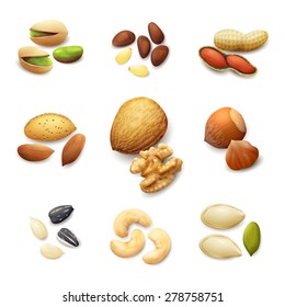 Nuts realistic set with pistachio almond walnut hazelnut isolated vector illustration