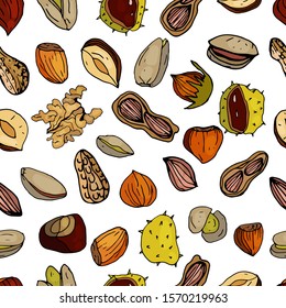 Nuts seamless pattern. Hazelnuts, chestnuts, peanuts, walnuts, pistachios on an isolated white background. Nuts hand drawn. Healthy food in cartoon style.