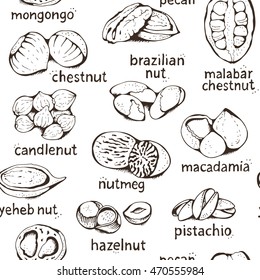 Nuts seamless pattern, vector food background, isolated on white