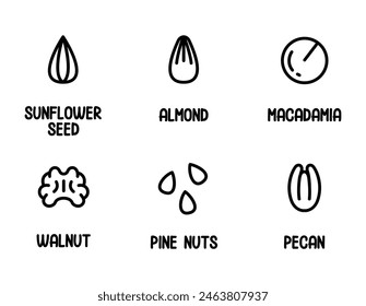 Nuts and seed icon set. Thin line icons with text. Almonds, Macadamia, Sunflower seeds, Pecans, Walnuts, Pine nuts