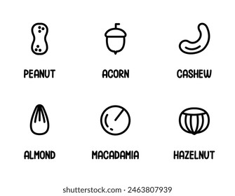 Nuts and seed icon set. Thin line icons with text. Almond, Macadamia, Peanut, Acorn, Cashew, Hazelnut. Outline set of nut vector icons for web design isolated on white background