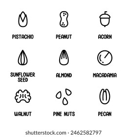 Nuts and seed icons set. Peanut, Pistachio, Almond, Acorn, Macadamia, Walnut, Pine Nut, Pecan. Nut with name. Vector illustration in outline style