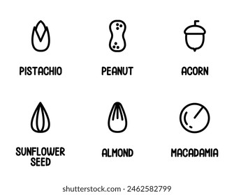 Nuts and seed icons set. Pistachios, Peanuts, Acorn, Sunflower Seed, Almond, Macadamia. Outline signs for healthy food stores. Hand Draw Vector illustration isolated on white background