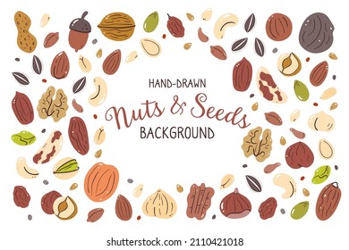 Nuts and seeds background. Food ingredients for cooking illustration. Isolated colorful hand-drawn icons on white background. Vector illustration.