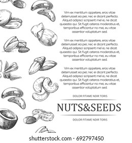 Nuts and seeds banner or poster. Cover with hand sketched nut and seed set