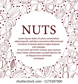 Nuts and seeds banners. Vector Hand drawn objects . Isolated on white. Modern brushpen Calligraphy. Design Template