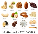 Nuts, seeds and beans 3d vector realistic objects set. Peanut, pistachio, walnut, almond, cocoa bean, cashew, hazelnut, brazil nut, pumpkin seeds, sunflower seeds, coffee, coconut, chickpea