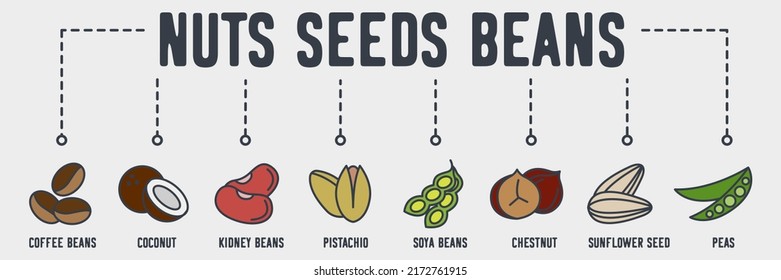 Nuts, seeds and beans banner web icon. coffee beans, coconut, kidney beans, pistachio, soya beans, chestnut, sunflower seed, peas vector illustration concept.