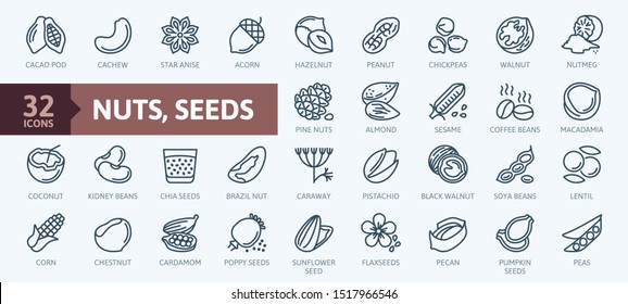 Nuts, seeds and beans elements - minimal thin line web icon set. Outline icons collection. Simple vector illustration.