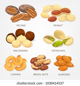 Nuts and seeds, beans and grains isolated. Cashew or chick-pea, brazil nut and almond, pecan or mexico hickory, peanut or goober, groundnut, macadamia and pistachio. Cellulose vegetarian nutrition