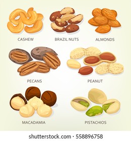 Nuts and seeds, beans and grains isolated. Cashew or chick-pea, brazil nut and almond, pecan or mexico hickory, peanut or goober, groundnut, macadamia and pistachio. Cellulose vegetarian nutrition