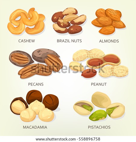 Nuts and seeds, beans and grains isolated. Cashew or chick-pea, brazil nut and almond, pecan or mexico hickory, peanut or goober, groundnut, macadamia and pistachio. Cellulose vegetarian nutrition