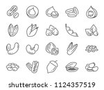 Nuts, seeds and beans icon set. Included icons as walnut, sesame, green beans, coffee, almond, pecan and more.