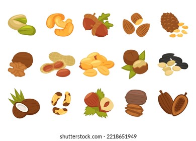 Nuts, seeds and beans realistic set. Peanut, pistachio, walnut, almond, cocoa bean, cashew, hazelnut, brazil nut, coffee, coconut, chickpea. Vector illustration