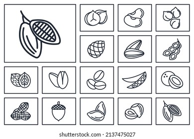 Nuts, seeds and beans set icon symbol template for graphic and web design collection logo vector illustration