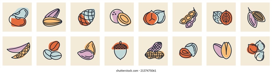 Nuts, seeds and beans set icon symbol template for graphic and web design collection logo vector illustration