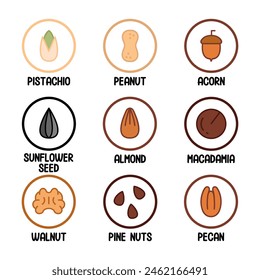 Nuts, seeds and beans vector objects set. Peanut, pistachio, walnut, almond, brazil nut, pine nuts, sunflower seeds, acorn, pecan, macadamia. Various Nuts with Names. Stickers