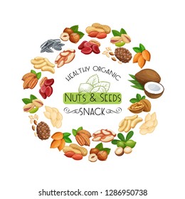 Nuts and seeds. Cola nut, pumpkin seed, peanut and sunflower seeds. Pistachio, cashew, coconut, hazelnut and macadamia. Vector illustration.