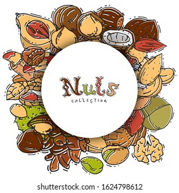 Nuts and seeds collection circle banner label vector illustration.Mixed labelled nuts. Different nut isolated and labels.