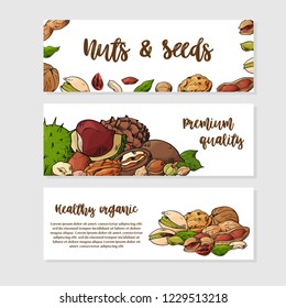 Nuts and seeds collection. Hand drawn elements. Flyer, booklet advertising and design. Vector illustration.