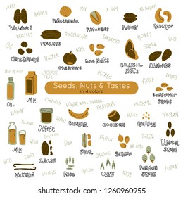 Nuts and seeds collection of hand drawn vector elements. Illustration made in doodle style. Set of food objects  and hand lettering for package, merch and other design.