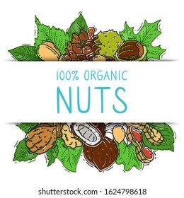 Nuts and seeds collection with paper label vector illustration. Mixed labelled organic nuts. Organic pecan, cashew, almond in square