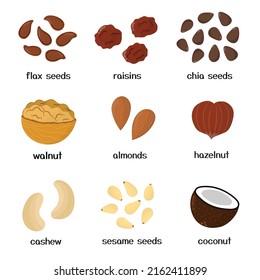 Nuts and seeds collection. Set of healthy food isolated elements in cartoon style. Great for recipes, cookbook and vegan prints. Vector illustration