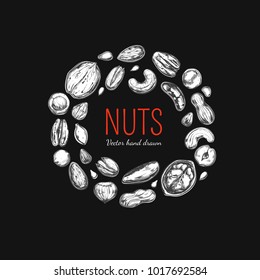 Nuts and seeds collection. Vector Hand drawn objects . Isolated on white.