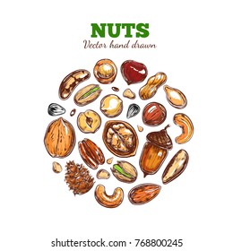 Nuts and seeds collection. Vector Hand drawn objects . Isolated on white.