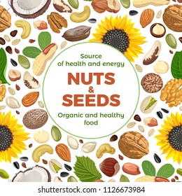 Nuts and seeds collection. Vector seamless pattern. Backround in flat style. Cashew, hazelnut, almond, brazil nut, walnut, peanut, pistachios, macadamia, pecan, nutmeg, pumpkin seeds, sunflower.