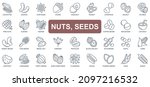 Nuts and seeds concept simple line icons set. Pack outline pictograms of cacao pod, cashew, walnut, acorn, hazelnut, peanut, coffee beans and other. Vector symbols for website and mobile app design