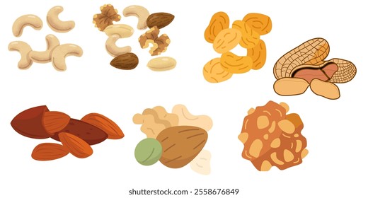 Nuts, seeds and dry fruits peanut, pistachio, hazelnut, brazil nut, pecan, almond, Seamless pattern. Vector illustration.