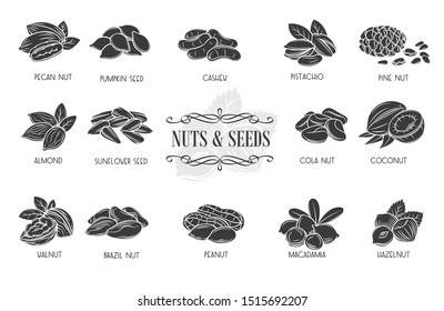 Nuts and seeds glyph icons. Cola nut, pumpkin seed, peanut and sunflower seeds. Pistachio, cashew, coconut, hazelnut and macadamia. Retro style, vector illustration.