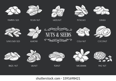 Nuts and seeds glyph icons. White on black vector illustration cola nut, pumpkin seed, peanut and sunflower seeds. Pistachio, cashew, coconut, hazelnut and macadamia. Retro style.