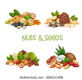 Banner für Nüsse, Samen und Körner. Macadamia, Mandeln, Maisnüsse, Nutmeg, Cashew, Kokosnuss, Kastanien oder Schufadenerzeugnisse. Cola-Nuss, Erdnuss, Sonnenblumenkerne, Pistazien, Haselnuss und Heimtiere. Vektorgrafik