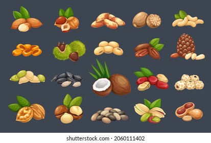 Nuts, seeds and grains icons set. Macadamia, almond, corn nuts, nutmeg, cashew, coconut, chestnuts or chufa tigernuts. Cola nut, peanut, sunflower seeds, pistachio, hazelnut and ets