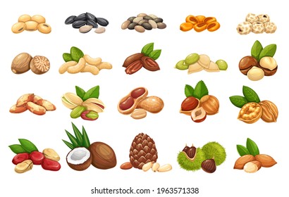 Macadamia vector illustrations. Hand drawn food drawing. Nut trees sketch  collection. Organic vegetarian product. Perfect for recipe, menu, label,  packaging, Vintage set with nuts, leaves, branches. Stock Vector