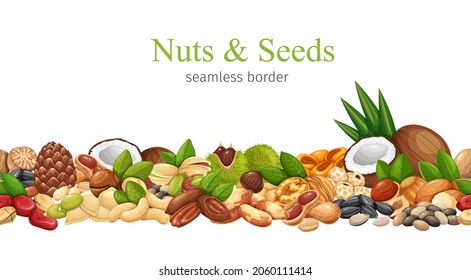 Nuts, seeds and grains seamless pattern border frame vector illustration. Macadamia, almond, corn nuts, nutmeg, cashew, coconut and chestnuts. Sunflower seeds, pistachio, hazelnut and ets