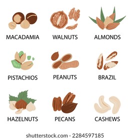 Nuts and seeds in hand draw design Vector illustration set. Collection of nuts, seed icons, infographic elements isolated on white background.