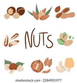 Nuts and seeds in hand draw design Vector illustration set. Collection of nuts, seed icons, infographic elements isolated on white background.