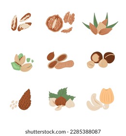 Nuts and seeds in hand draw design Vector illustration set. Collection of nuts, seed icons, infographic elements isolated on white background.
