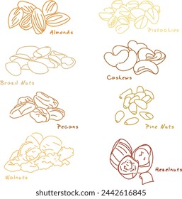 Nüsse und Samen in der Hand zeichnen Design Vektor-Illustration-Set. Sammlung von Nüssen, Samen-Icons und Infografik-Elemente isoliert auf einem weißen Hintergrund