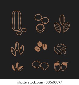Nuts and seeds icon set. Almond and  peanut and pumpkin and bean. Vector illustration