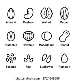 Nuts and seeds icon set. Cartoon line icons, isolated vector clip art illustration.