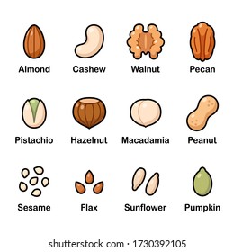 Nuts and seeds icon set. Cartoon color icons, isolated vector clip art illustration.